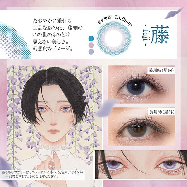 フジ-イメージ画像-美少年画 Bishonenga(ビショウネンガ)2枚入-マンスリーカラコン-1ヵ月カラコン