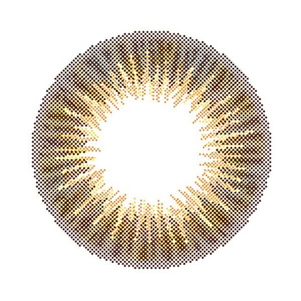 ロワールブラウン-レンズ画像