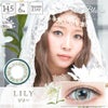 リリー-イメージ画像