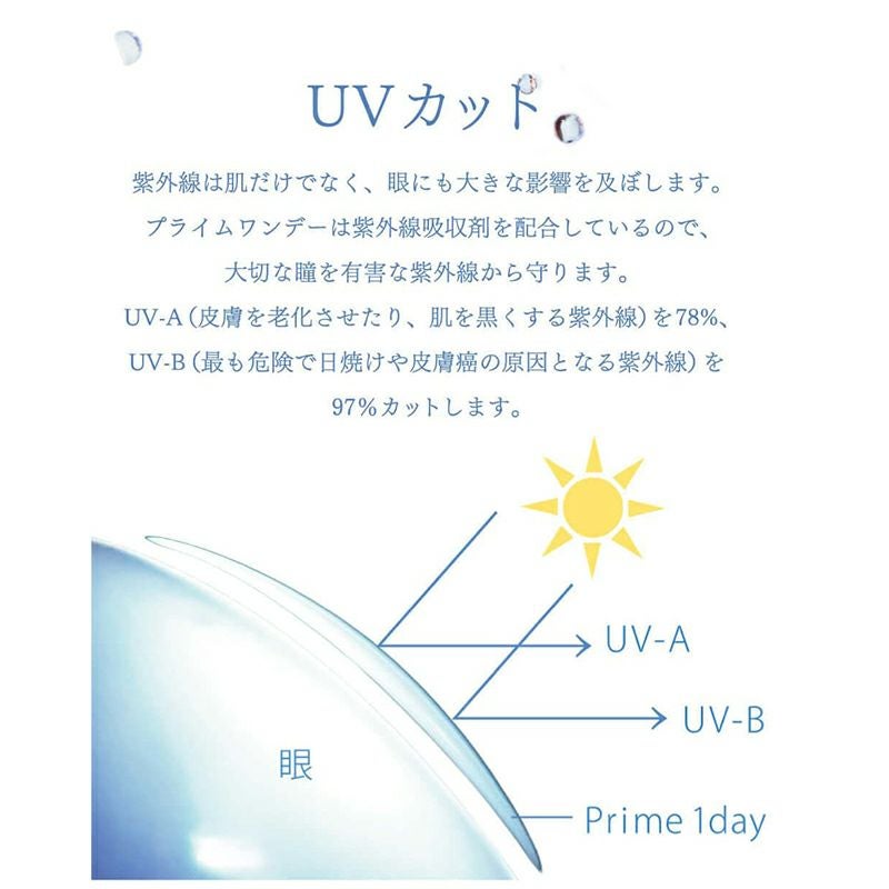 Prime 1day（プライムワンデー）