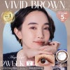エンジェルアイズ 2week UVM　6枚入（ヴィヴィッドブラウン）