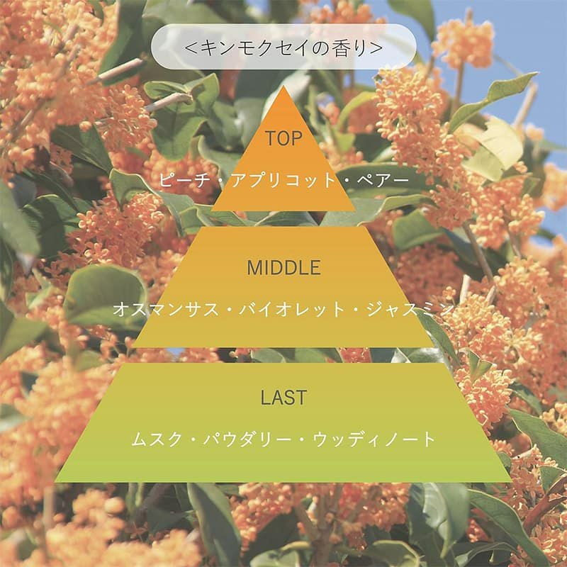 【MUCOTA(ムコタ)】Promille(プロミル) オイル （キンモクセイ） 150ml 