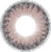 シエラ-レンズ画像