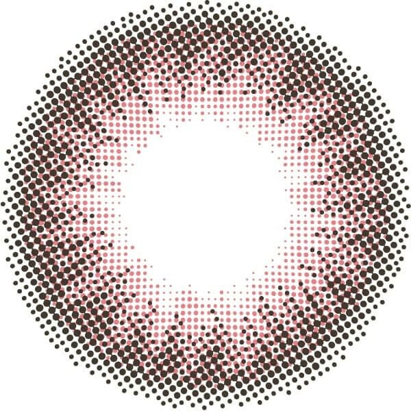 フラミンゴ-レンズ画像