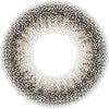 フォーン-レンズ画像