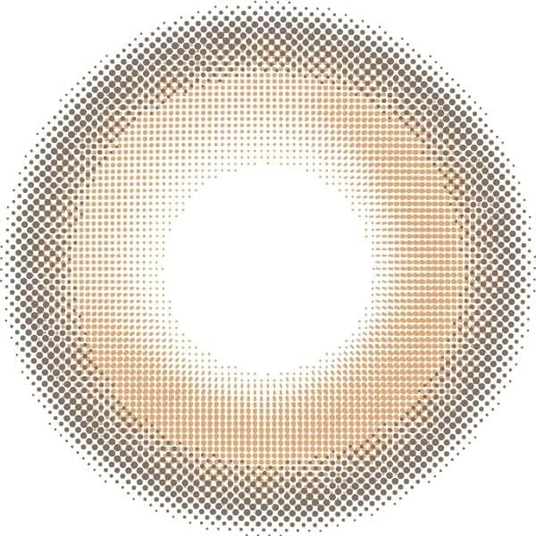 キャメル-レンズ画像