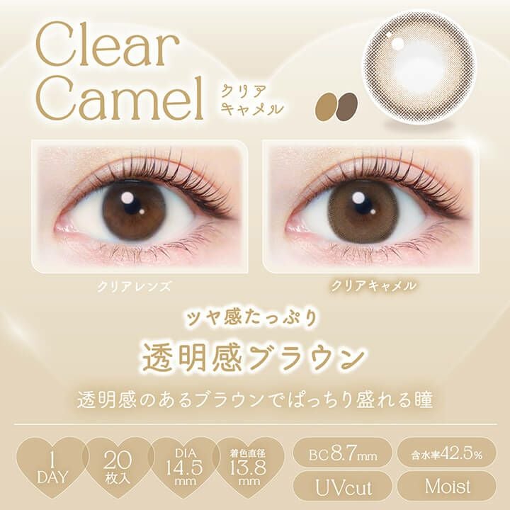 エバーカラーワンデーナチュラル 20枚入【クリアキャメル】｜カラコン