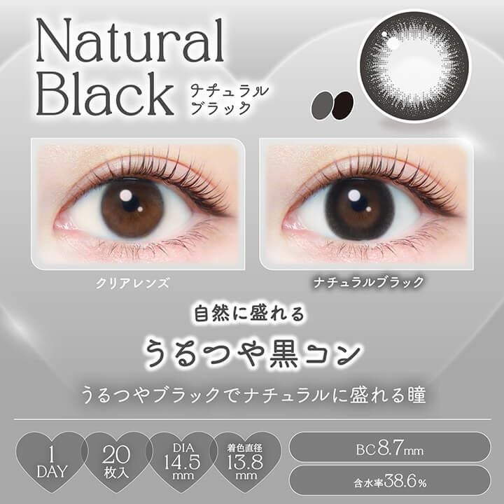 エバーカラーワンデーナチュラル 20枚入【ナチュラルブラック】｜カラコン
