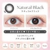 エバーカラーマンスリー(シリコーンハイドロゲルUV)　2枚入[ナチュラルブラック] 