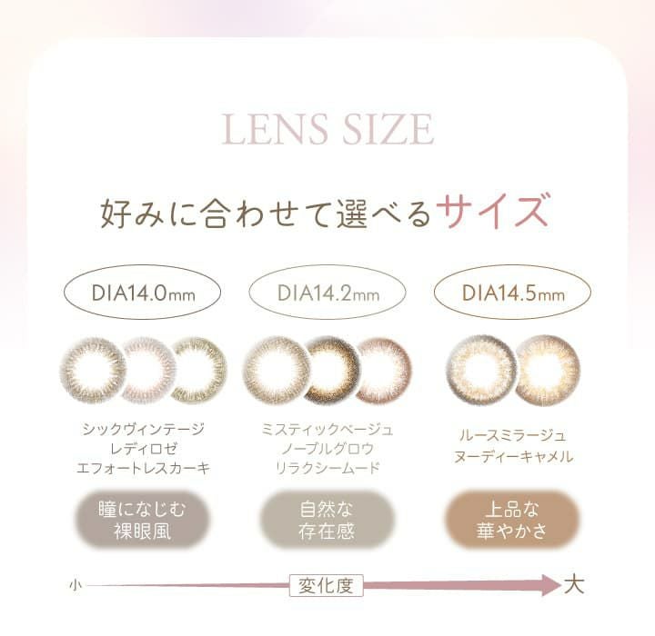  レリッシュワンデー (LALISH 1day) 10枚入[レディロゼ] 