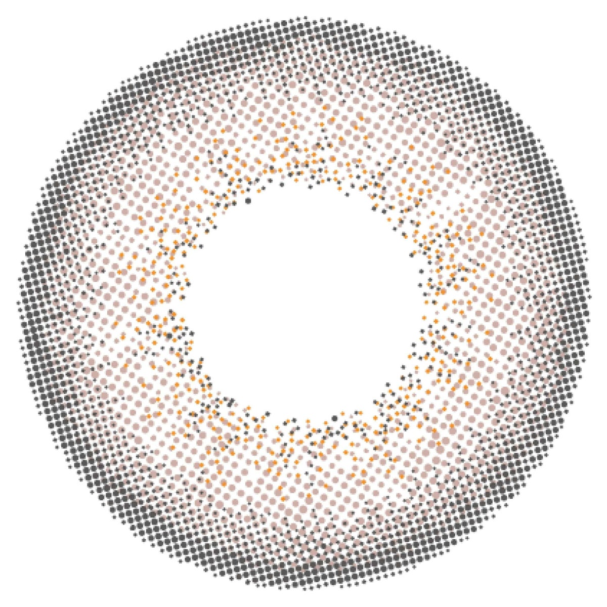 エンジェルカラーバンビワンデー 10枚入[パールグレー] 