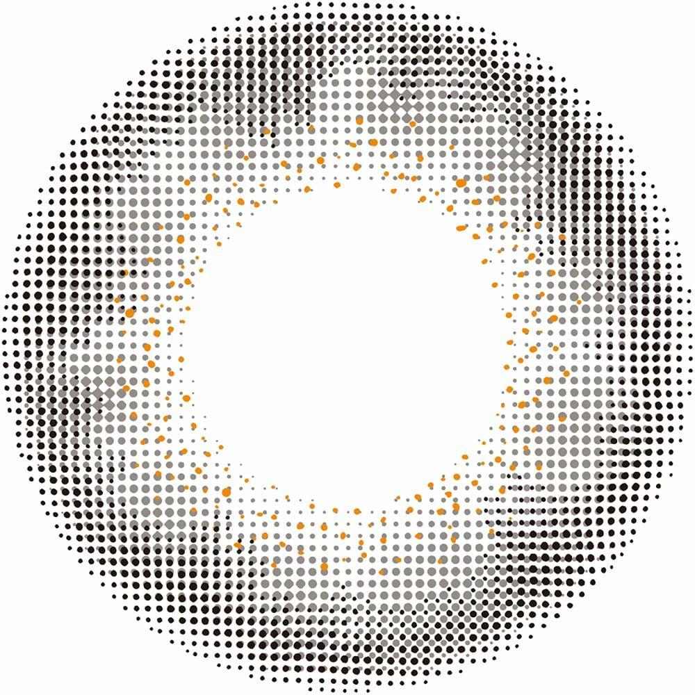 リルムーン ワンデー (LILMOON 1day) 10枚入[ラスティグレー] 