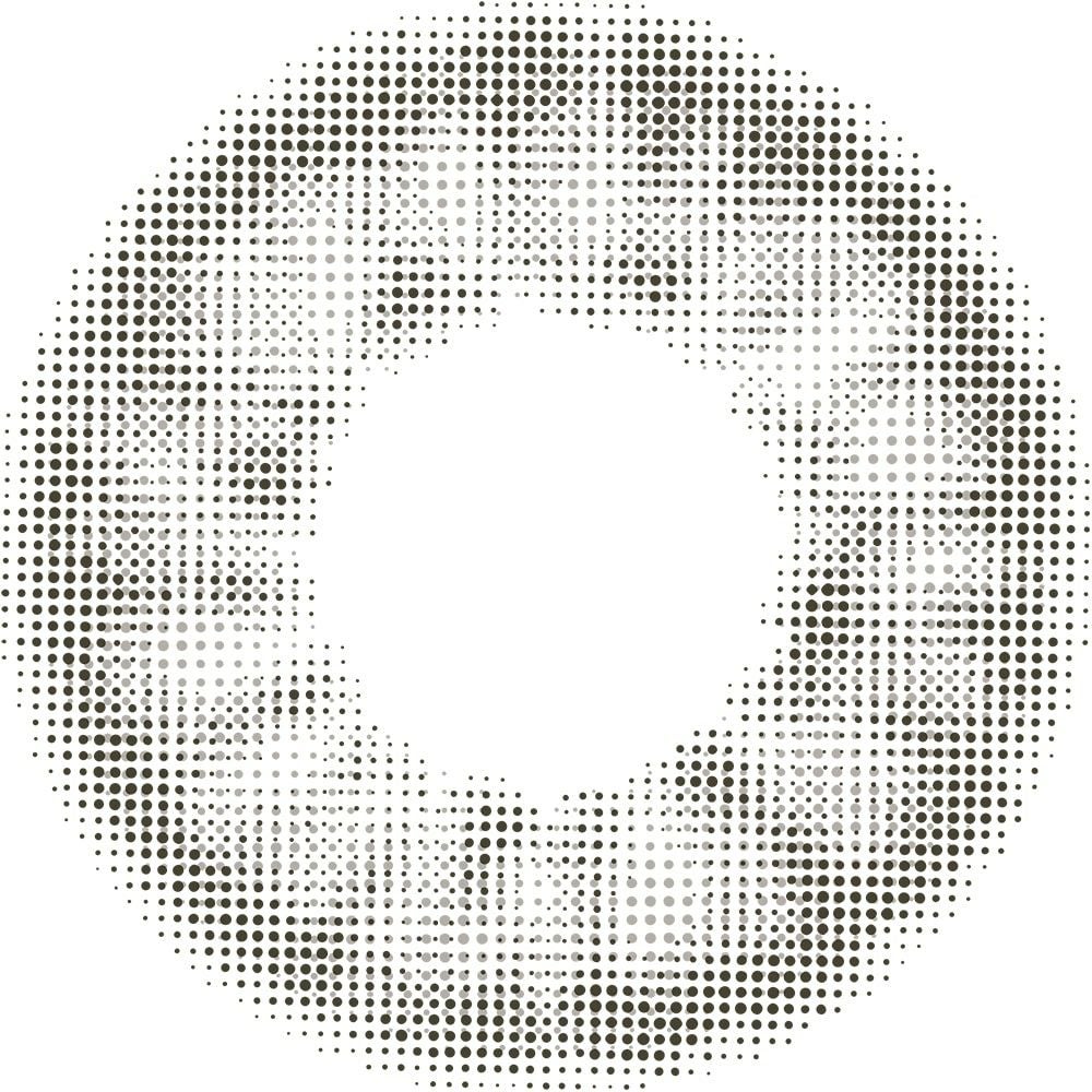 リルムーン ワンデー (LILMOON 1day) 10枚入[スモーキーグレー] 