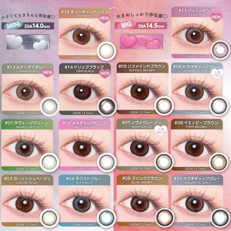 ワンデーリフレアエーアイ(1-DAY Refrear a-eye)10枚入 