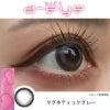 マグネティックグレーレポ-ワンデーリフレアエーアイ(1-DAY Refrear a-eye)10枚入 