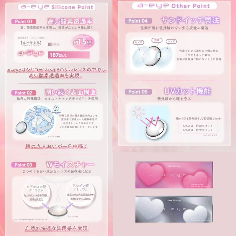 ワンデーリフレアエーアイ(1-DAY Refrear a-eye)10枚入[ドラマティックグレー] 