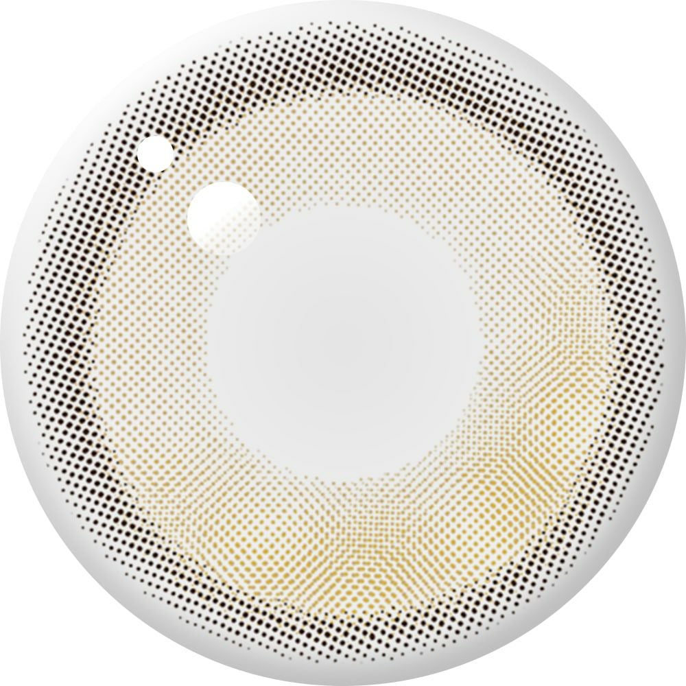 アンヴィ ワンデーUV (envie　1day UV) 10枚入[ウォーターモカベージュ] 