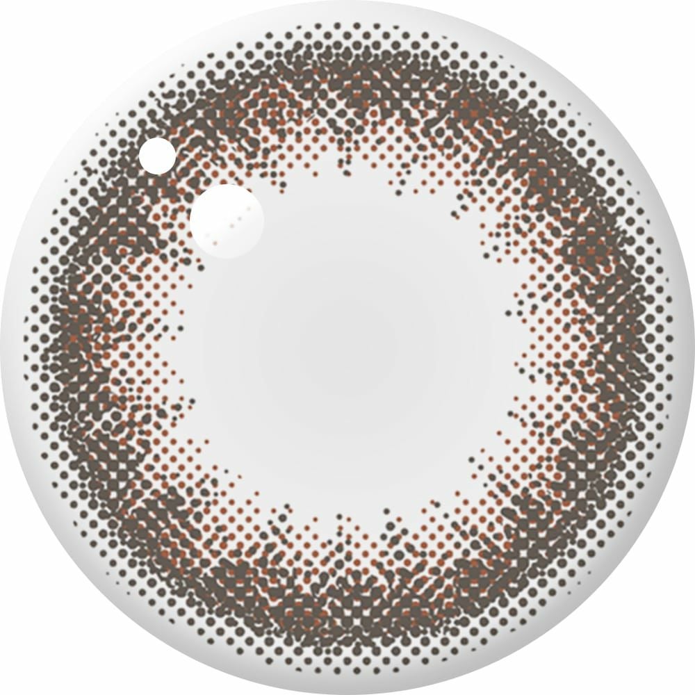 アンヴィ ワンデーUV (envie　1day UV) 10枚入[マルーンブラック] 