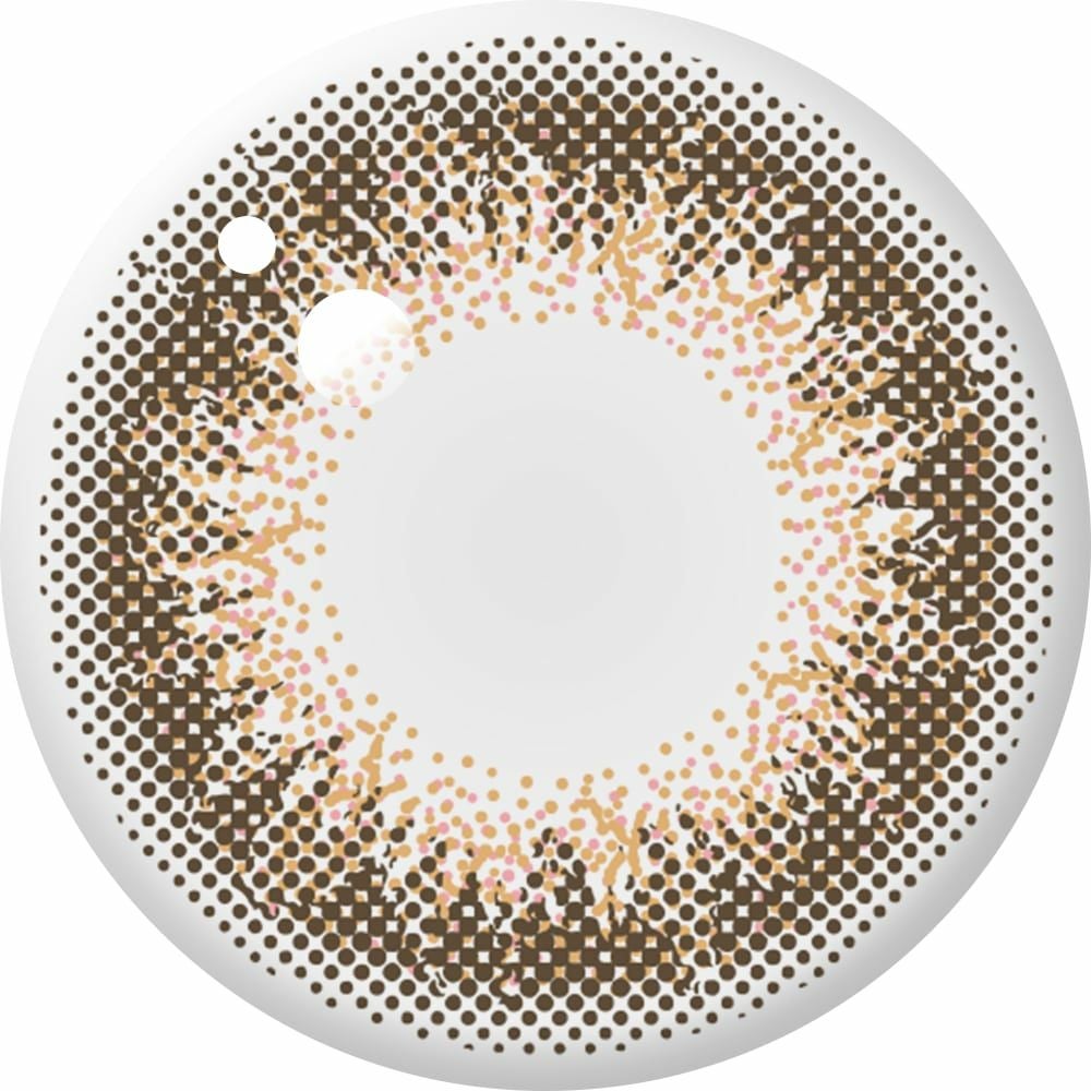 アンヴィ ワンデーUV (envie 1day UV) 10枚入[コーラルチーク] 