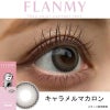 クリームマカロン-スタッフ装用画像-フランミー(FLANMY) 10枚入 