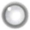 ミミグレー-レンズ画像