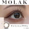 チェリッシュブラウン-レポ-MOLAK1DAY(モラクワンデー)10枚入-宮脇咲良カラコン-ルセラフィムサクラカラコン-ルセラSAKURAカラコン-モラクカラコン 
