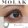 グレーバニー-レポ-MOLAK1DAY(モラクワンデー)10枚入-宮脇咲良カラコン-ルセラフィムサクラカラコン-ルセラSAKURAカラコン-モラクカラコン 