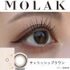 チェリッシュブラウン-レポ-MOLAK(モラク)マンスリー2枚入-宮脇咲良-みやわきさくら-ルセラフィムSAKURAカラコン-ルセラフィムSAKURAカラコン-ルセラカラコンマンスリー 