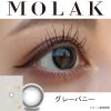 グレーバニー-レポ-MOLAK(モラク)マンスリー2枚入-宮脇咲良-みやわきさくら-ルセラフィムSAKURAカラコン-ルセラフィムSAKURAカラコン-ルセラカラコンマンスリー 