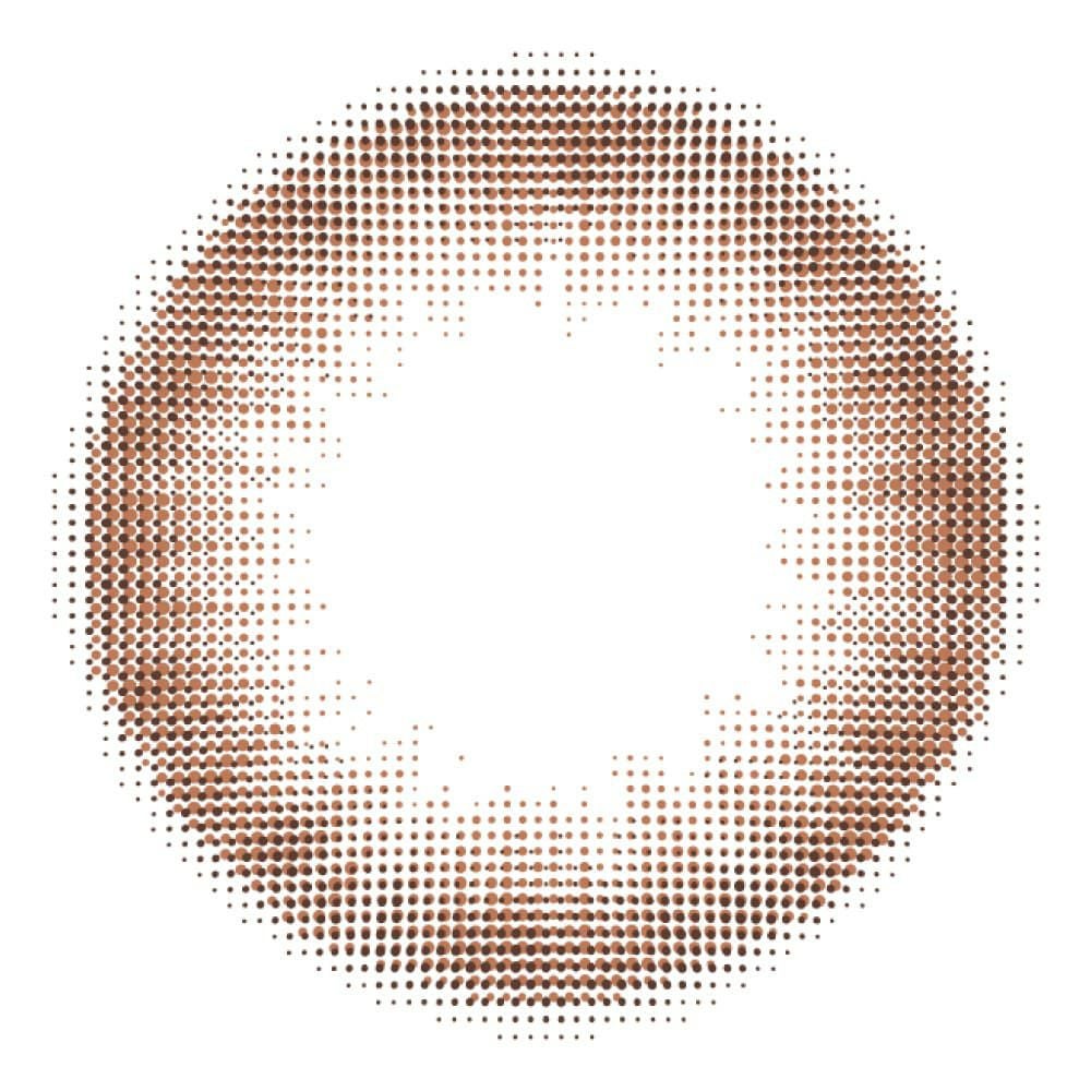 リッチスタンダード2week（RICH STANDARD 2week） 6枚入[リラックスブラウン] 