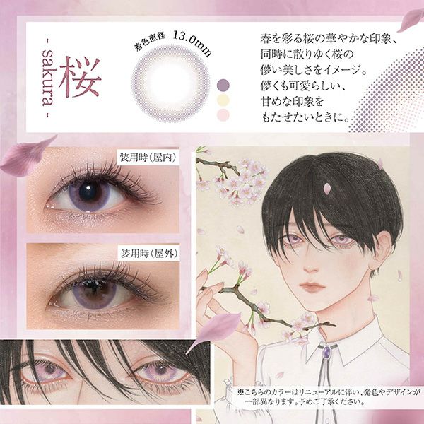 美少年画 Bishonenga hanairo（ビショウネンガ ハナイロ）2枚入[桜] 