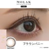 ブラウンバニー-レポ-モラクトーリック（MOLAK TORIC）10枚入-宮脇咲良カラコン-ルセラサクラ-乱視用カラコン-モラク乱視カラコン