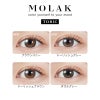 モラクトーリック（MOLAK TORIC）10枚入-宮脇咲良カラコン-ルセラサクラ-乱視用カラコン-モラク乱視カラコン