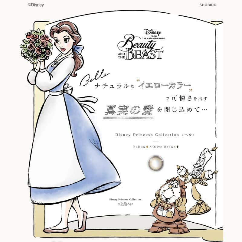 ディズニープリンセスコレクション バイ ピエナージュ 6枚入[ベル] 