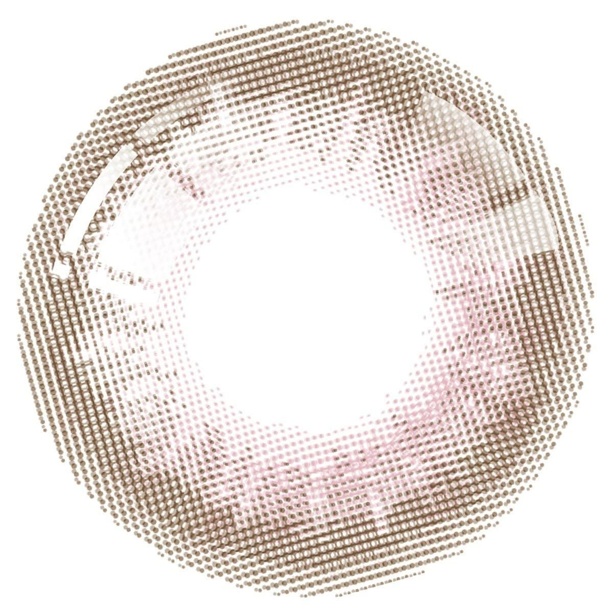 きのこ-レンズ画像