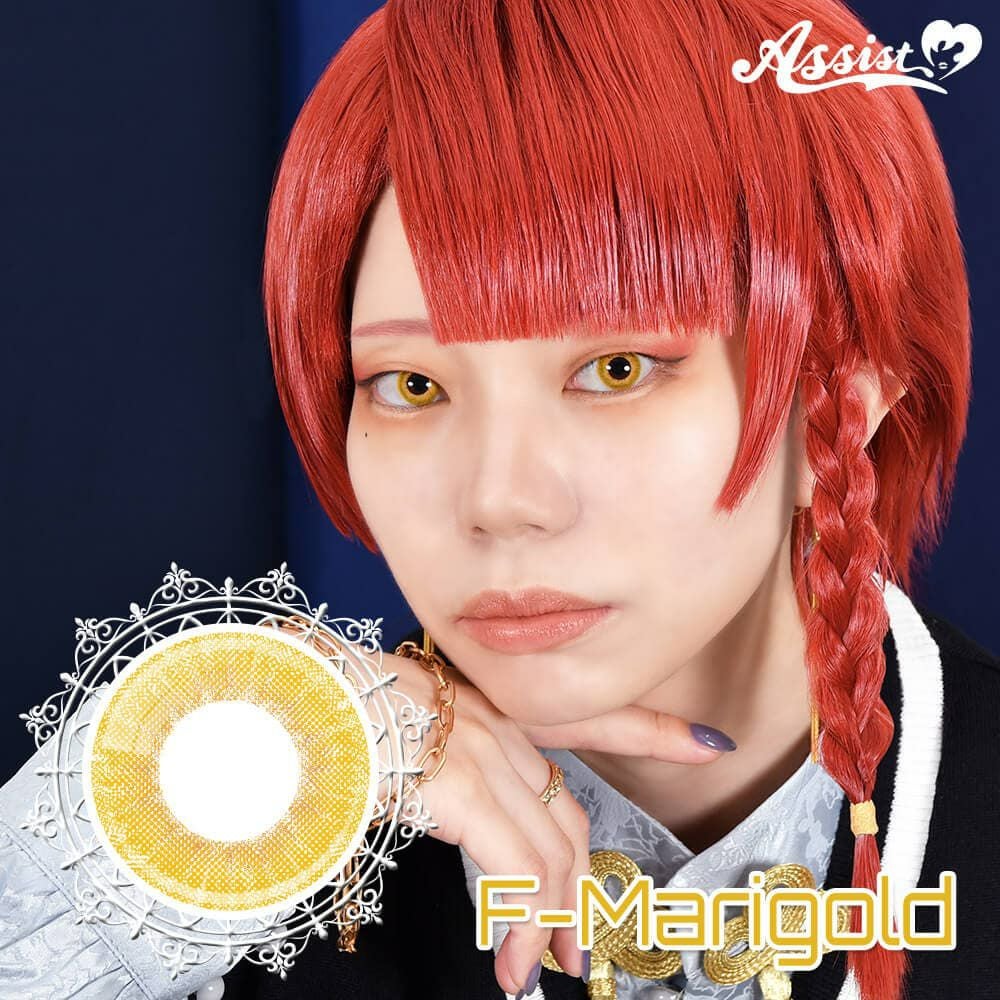  アシストシュシュ ファビル ワンデー(AssistChouChou Favill 1day) 6枚入 