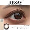 リセイ（RESAY）10枚入[チャーミーキャット] 