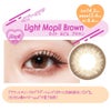 ライトモピルブラウン-イメージ画像