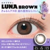 ★FRUITS ZIPPER★フルフル (FruFru)10枚入[LUNA　BROWN] 