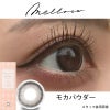 メロール (Melloew) 10枚入[モカパウダー]