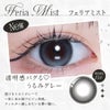 フェリアミスト-イメージ画像-リアリア (RIARIA 1day) 10枚入-回らない水光カラコン