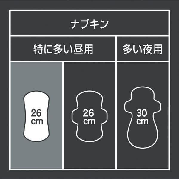 ソフィ SPORTSズレに強い 特に多い昼用 羽なし (26cm×24枚