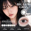 ビッグルリグレー-イメージ画像-アンジェリーク マンスリー(ANGELIQUE) 2枚入-カラコン