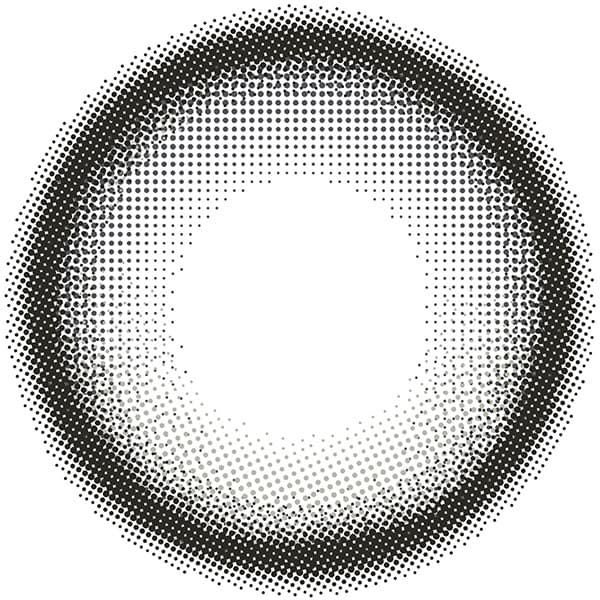  リアリア ワンマンス(RIARIA 1month) 2枚入[アリアグレー] -米澤りあ-マンスリーカラコン-1ヶ月カラコン