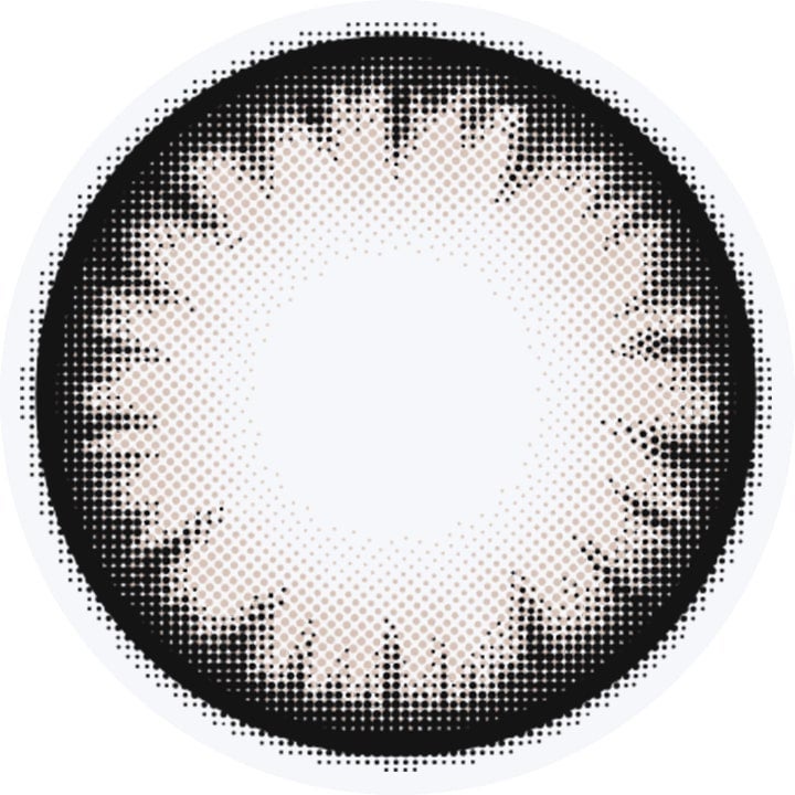 ギャルネバーダイマンスリー(GAL NEVER DIE monthry)2枚入[デイライト] -ちゃんみなカラコン-ちゃんみなギャルネバーダイ