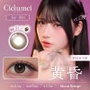 黄昏-レンズ画像-シエルメイ(Cielumei)10枚入-むめい-Mumei-シェルメイ-シリコーンハイドロゲルカラコン