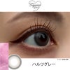 ハルツグレー-レポ-フェユナ(Feyuna) 10枚入-HITGS-ヒッジス-カラコン